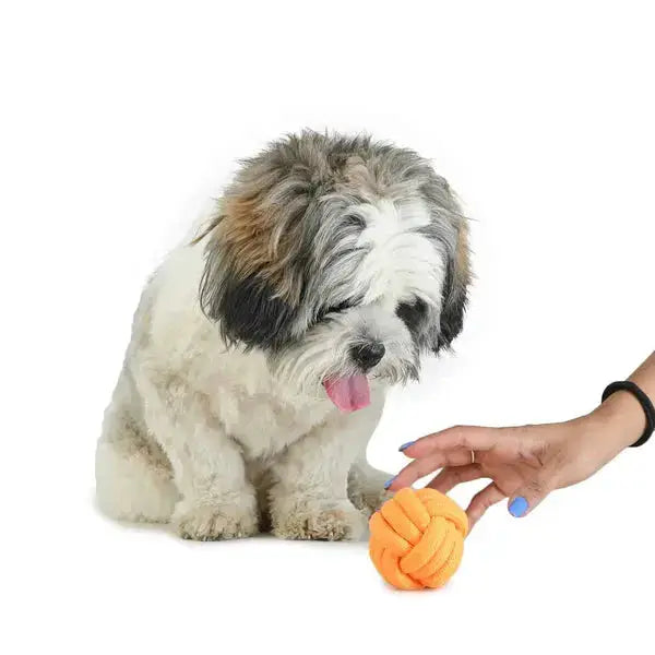  Dog Toy - dog chew ball for Playtime Fun for Your Pets - Petspalz Petspalz