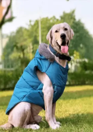  Dog Winter Jacket - Waterproof and Windproof  Petspalz