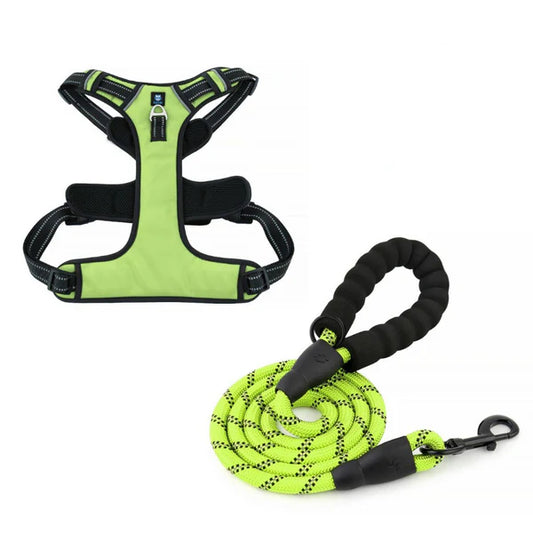 Durable No-Pull Dog Harness and Leash Combo for Large Breeds