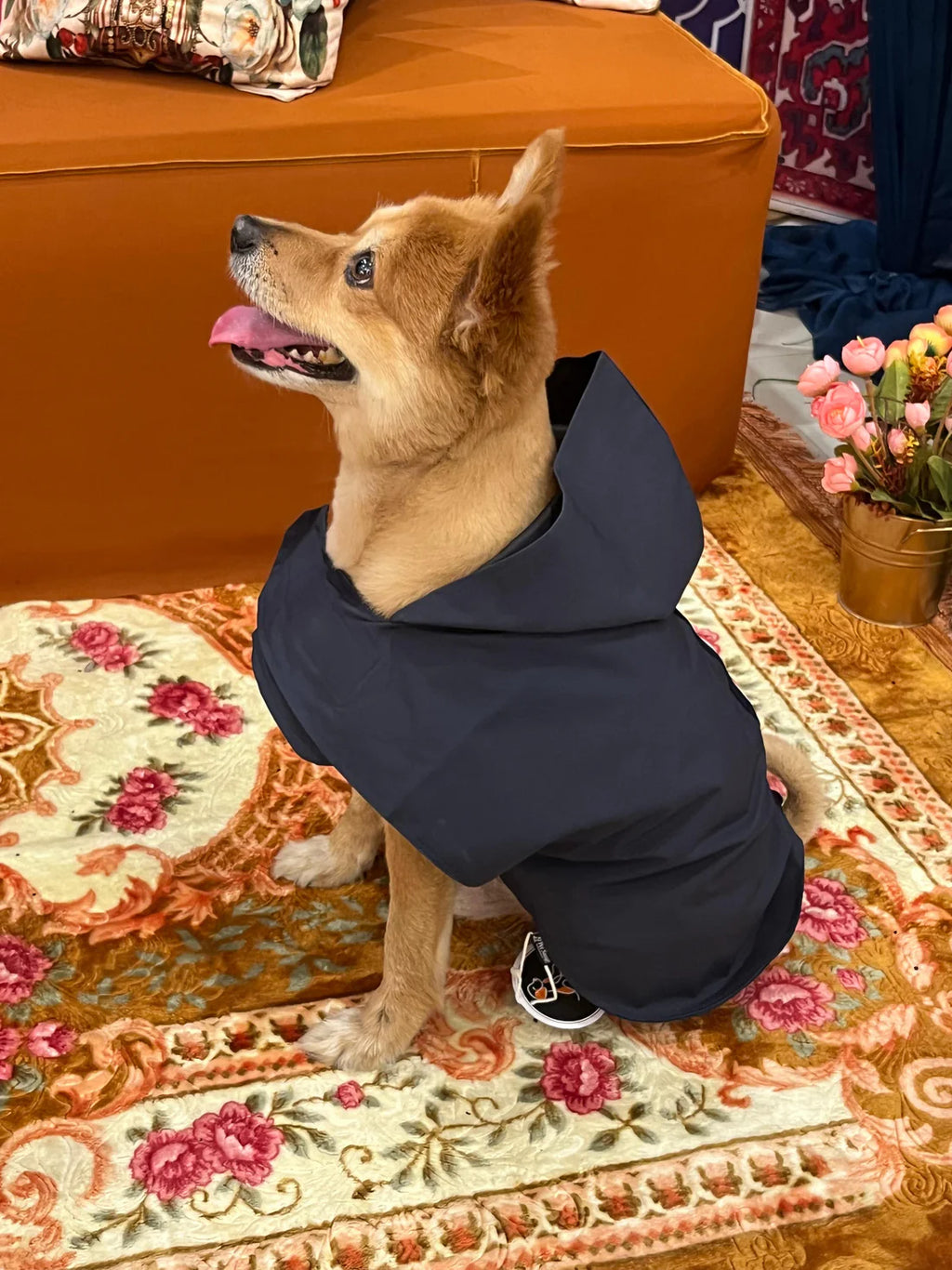Dog Raincoat – Waterproof Pet Jacket in Navy Blue