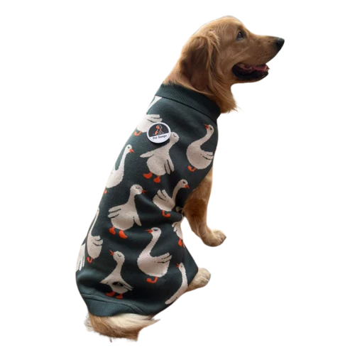  Quack Cozy Knit Sweater for Dogs | Duck-Themed Warm Pet Outfit Petspalz