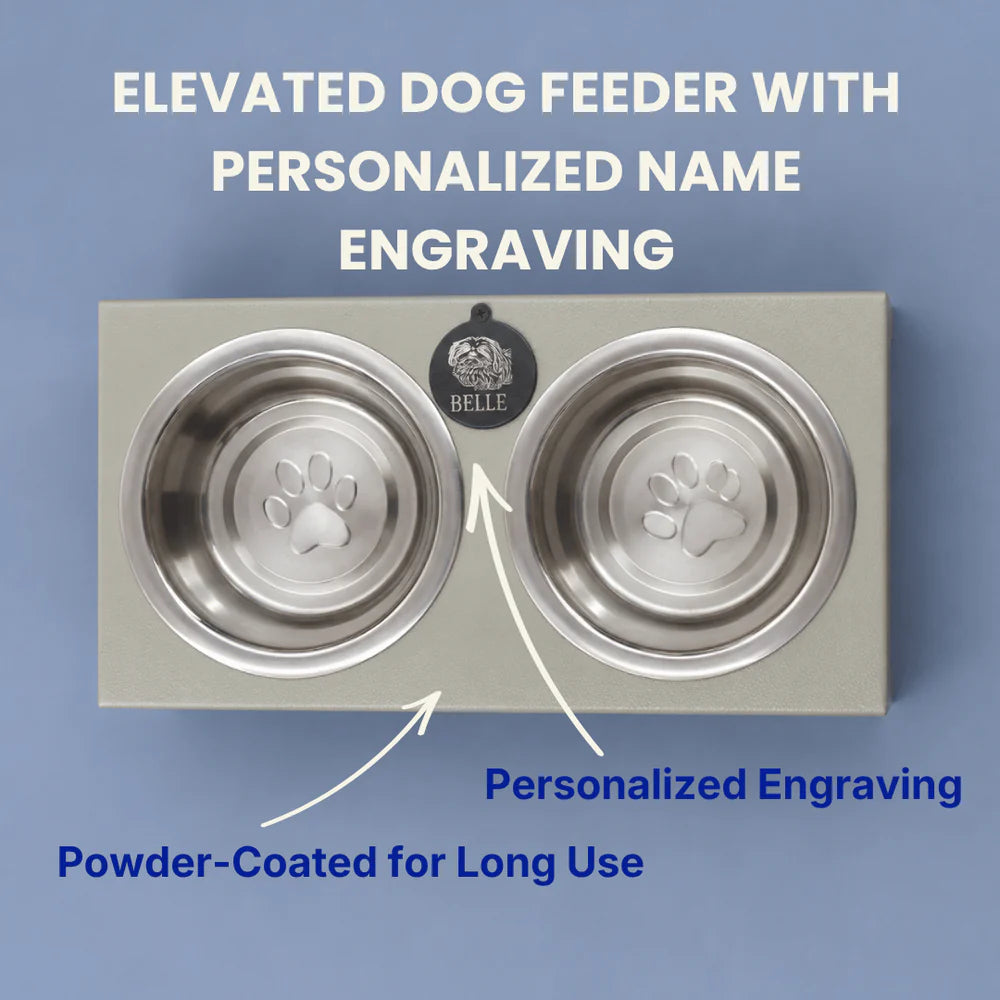 Elevated dog feeder with personalized name engraving on a blue background