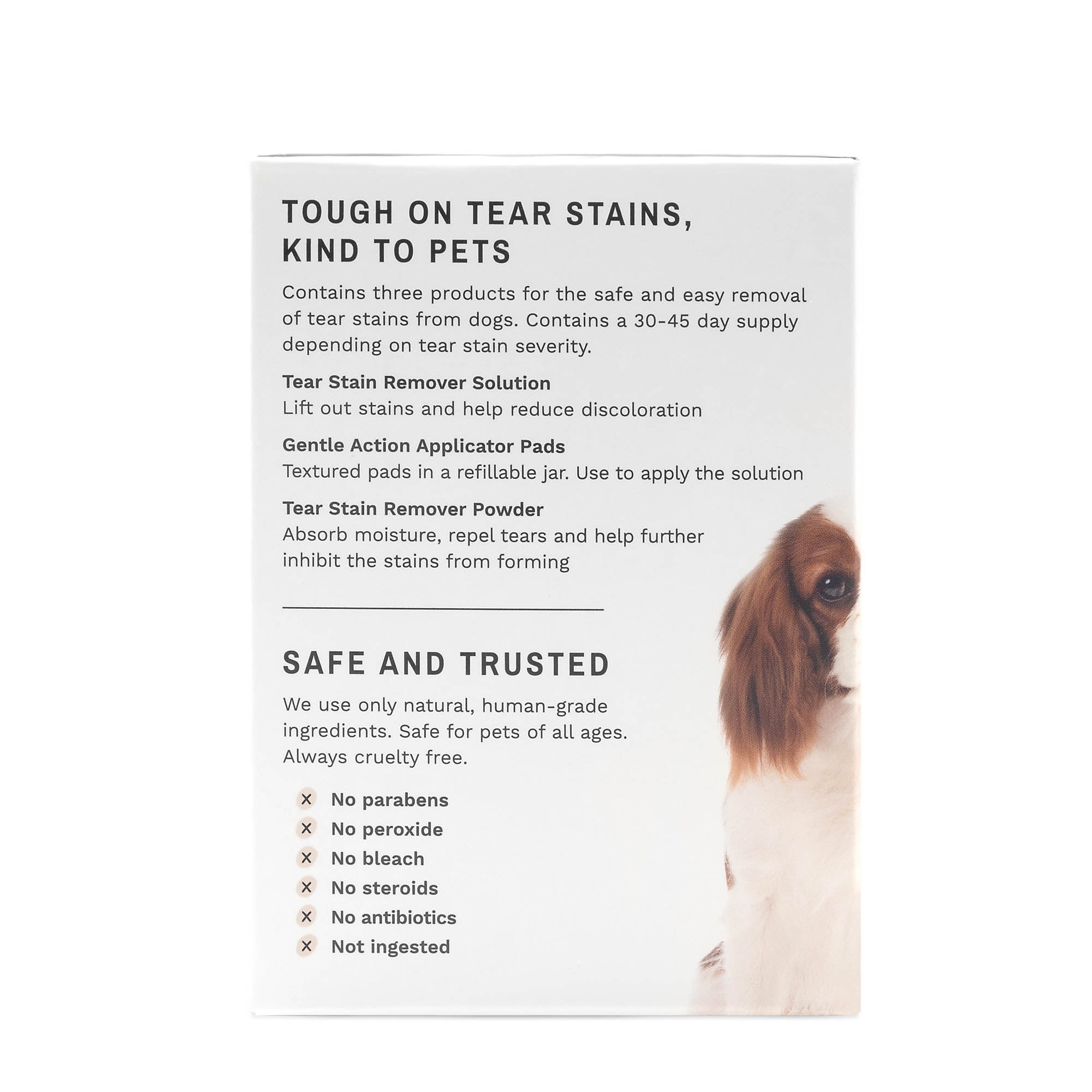  Eye Envy Tear Stain Remover Starter Kit for Dogs  Petspalz