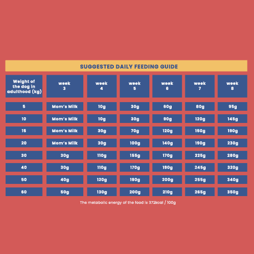 Fabled Well Begun | Fabled: Premium Dog Food | Best Dog Food in India Petspalz