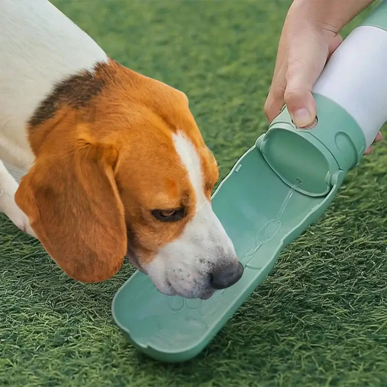  pet feeding water treat dispenser combo pack for Pets Petspalz