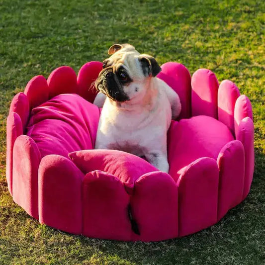 Fenced Dog Bed : Comfortable and Stylish fleece fenced bed for dogs - Petspalz