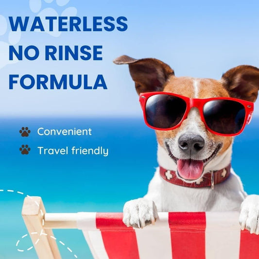  Flazia Pets Natural Waterless Dog Shampoo 100 ml (Pack of 1)  Petspalz