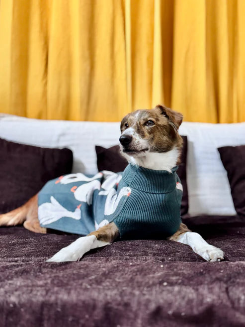  Quack Cozy Knit Sweater for Dogs | Duck-Themed Warm Pet Outfit Petspalz