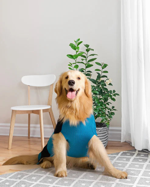  Half Cable Half Jacquard Dog Sweater | Premium Winter Pet Clothes Petspalz