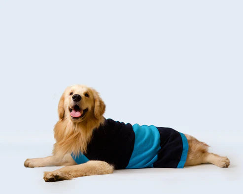  Half Cable Half Jacquard Dog Sweater | Premium Winter Pet Clothes Petspalz