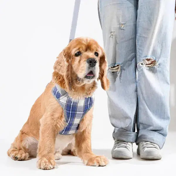  Heavy-duty harness kit for dogs Petspalz