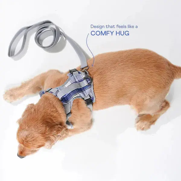  Heavy-duty harness kit for dogs Petspalz