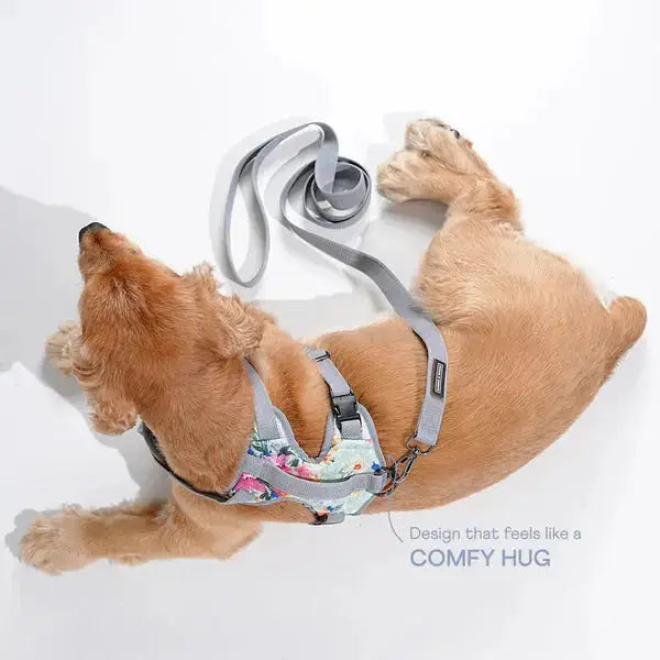  Heavy-duty harness kit for dogs Petspalz