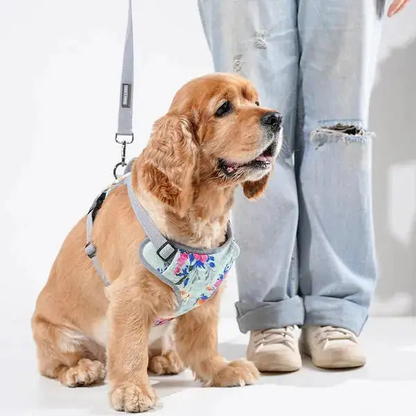  Heavy-duty harness kit for dogs Petspalz