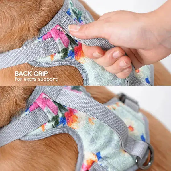  Heavy-duty harness kit for dogs Petspalz