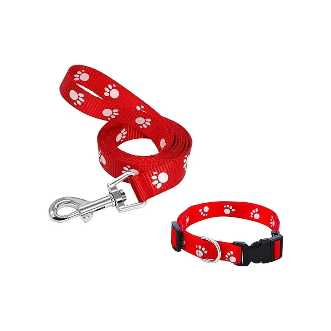  Leash Collar Set for Small Breed Dogs Petspalz