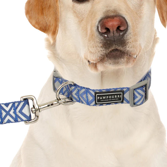  Premium & High-quality material  Durable  Leash for Dogs Petspalz