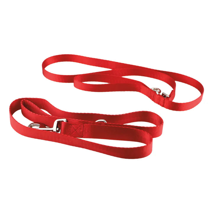  Premium & High-quality material  Durable  Leash for Dogs Petspalz