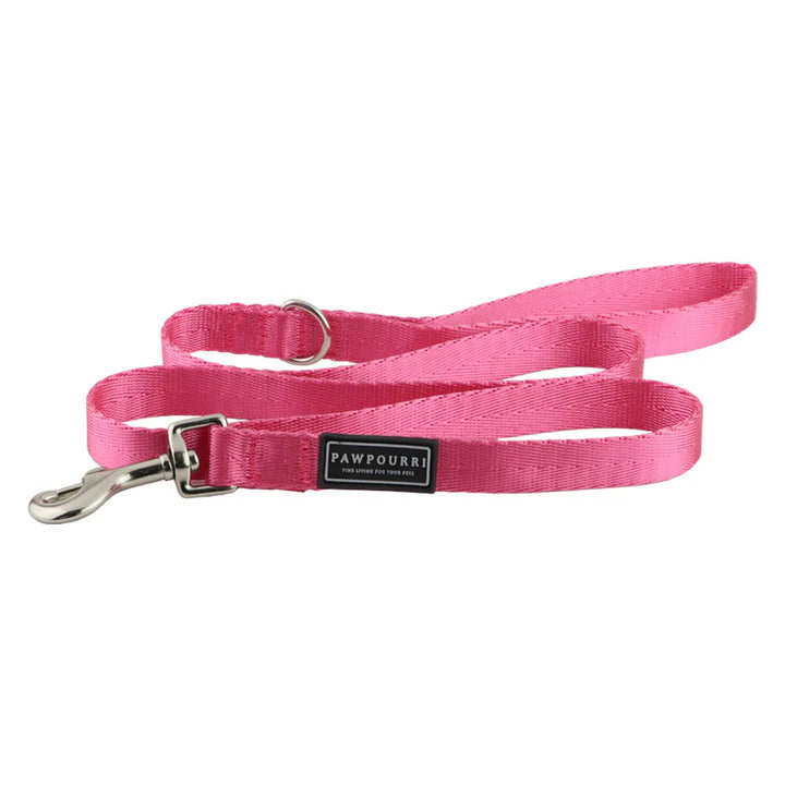 Premium & High-quality material  Durable  Leash for Dogs Petspalz