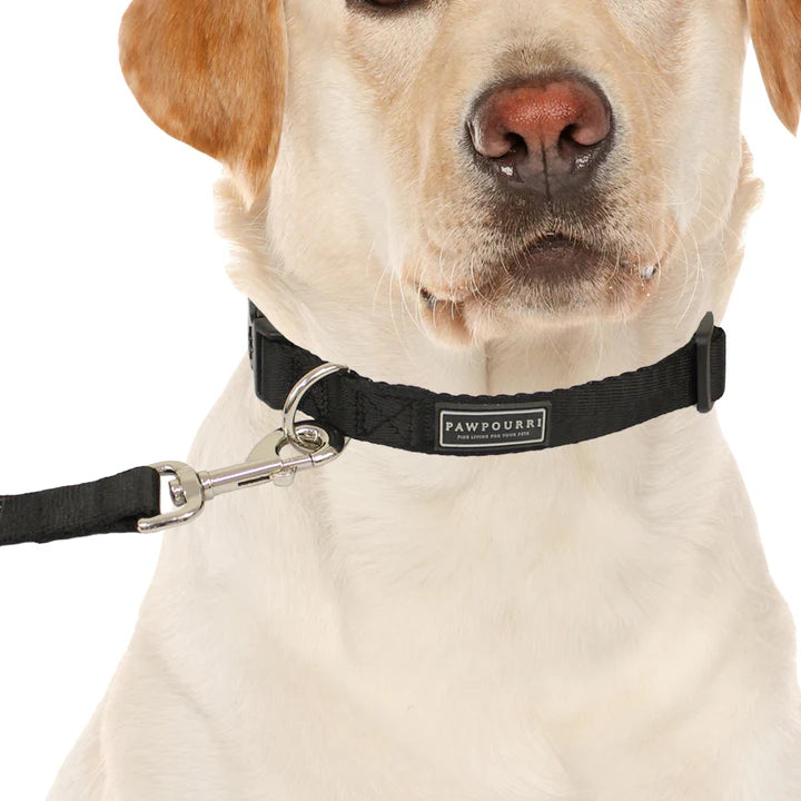  Premium & High-quality material  Durable  Leash for Dogs Petspalz