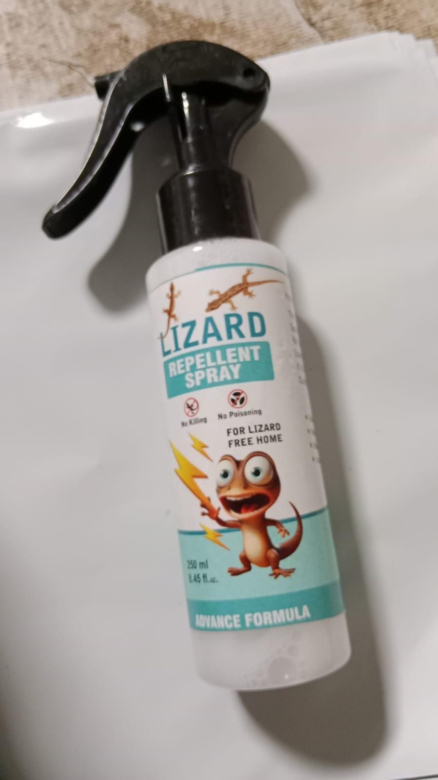  Lizard Repellent Spray for Home | 250ml x 2 | Natural Pest Control e31d79-4