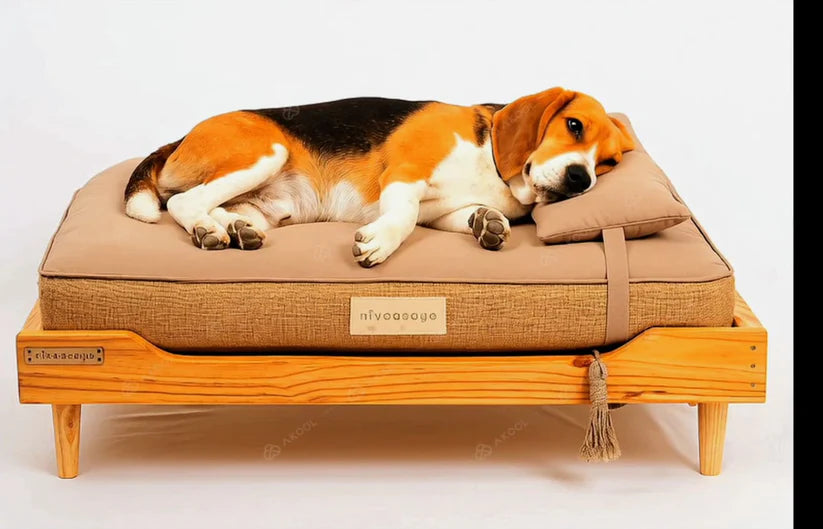  Handmade Wooden Dog Bed | Large & Medium Dog | With Cushion | Petspalz Petspalz