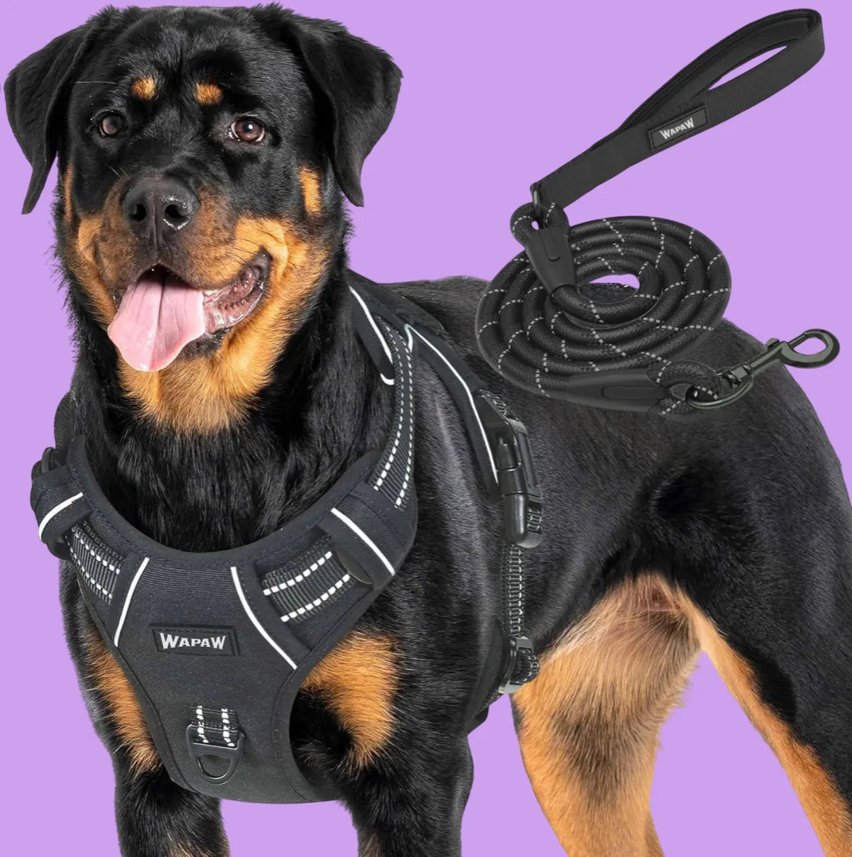  No-Pull Dog Harness with Rope – Adjustable Reflective Oxford Vest Petspalz