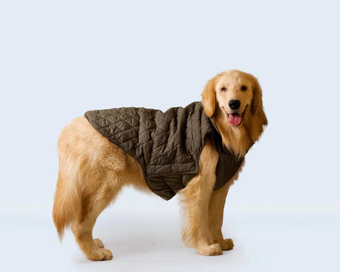  Olive Green Dog Jacket | Warm & Stylish Winter Pet Coat Petspalz