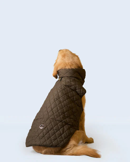  Olive Green Dog Jacket | Warm & Stylish Winter Pet Coat Petspalz
