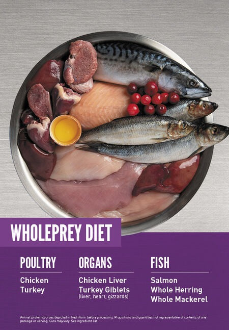  ORIJEN Kitten Food – High Protein, Grain-Free Diet | Growing Kittens Petspalz
