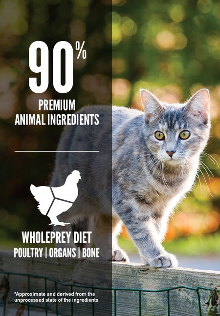  ORIJEN Original Cat Food – High Protein, Grain-Free Diet Petspalz