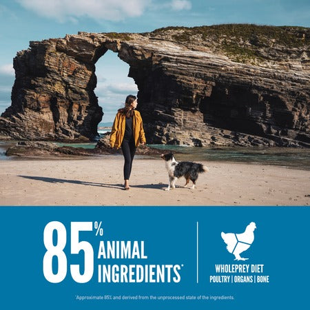  ORIJEN Six Fish Dog Food – Grain-Free High Protein Dog Food Petspalz