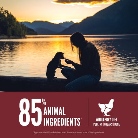  ORIJEN Small Breed Dog Food – High-Protein Formula for Small Dogs Petspalz