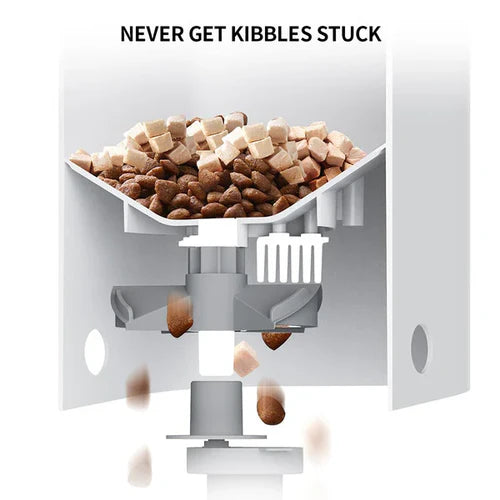  Fresh Element Solo Smart Feeder | Programmable Pet Feeder Petspalz