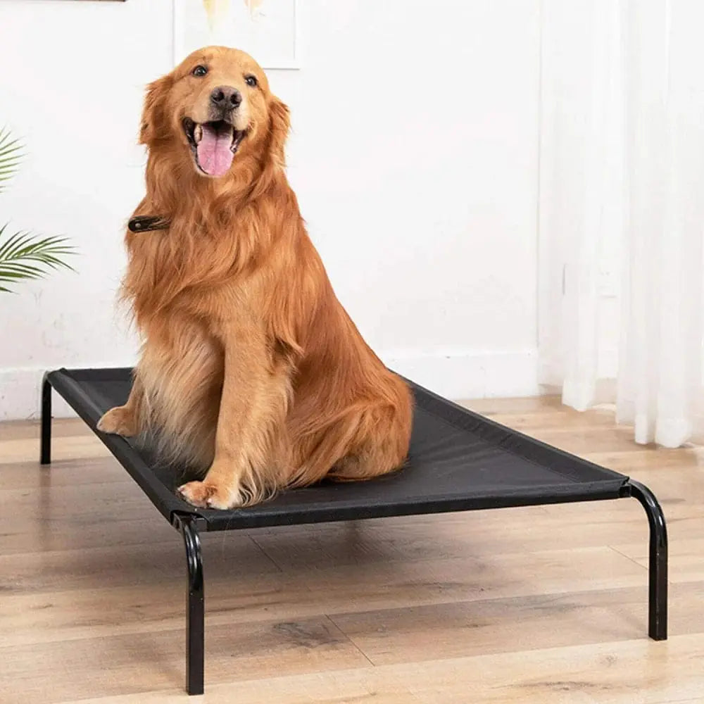 Pet Bed – Orthopedic & Washable for Dogs & Cats | Petspalz Petspalz