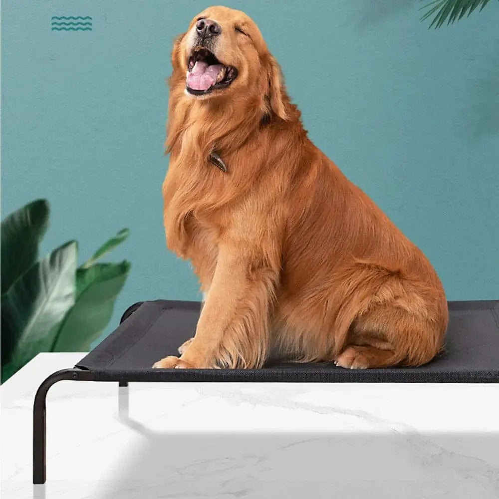  Pet Bed – Orthopedic & Washable for Dogs & Cats | Petspalz Petspalz