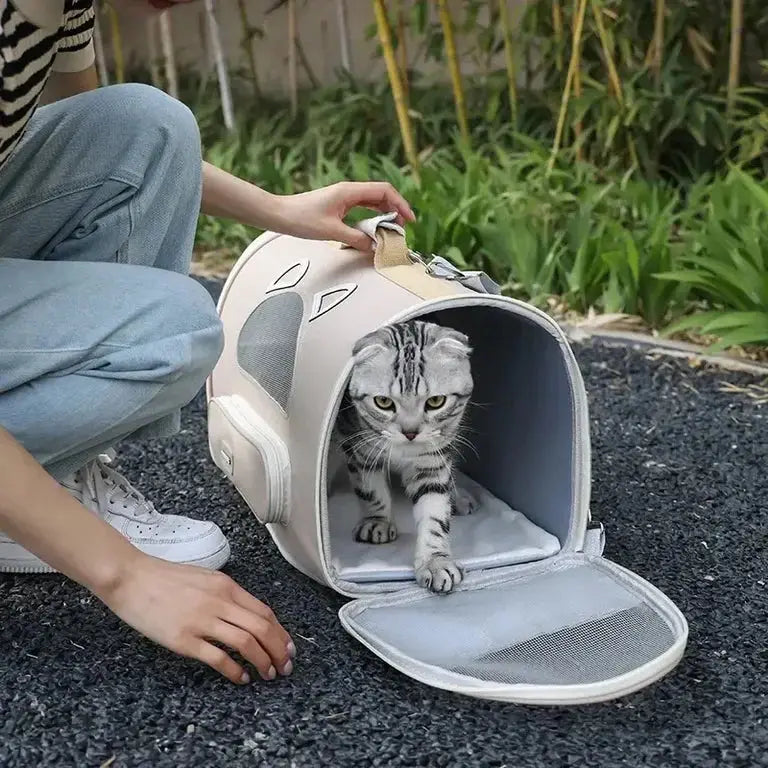  Portable Pet Carrier Bag Pet Crates And Carriers  Petspalz
