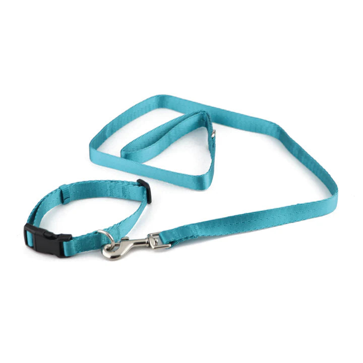  Pet Collar & Leash Set – Adjustable & Durable | Petspalz Petspalz