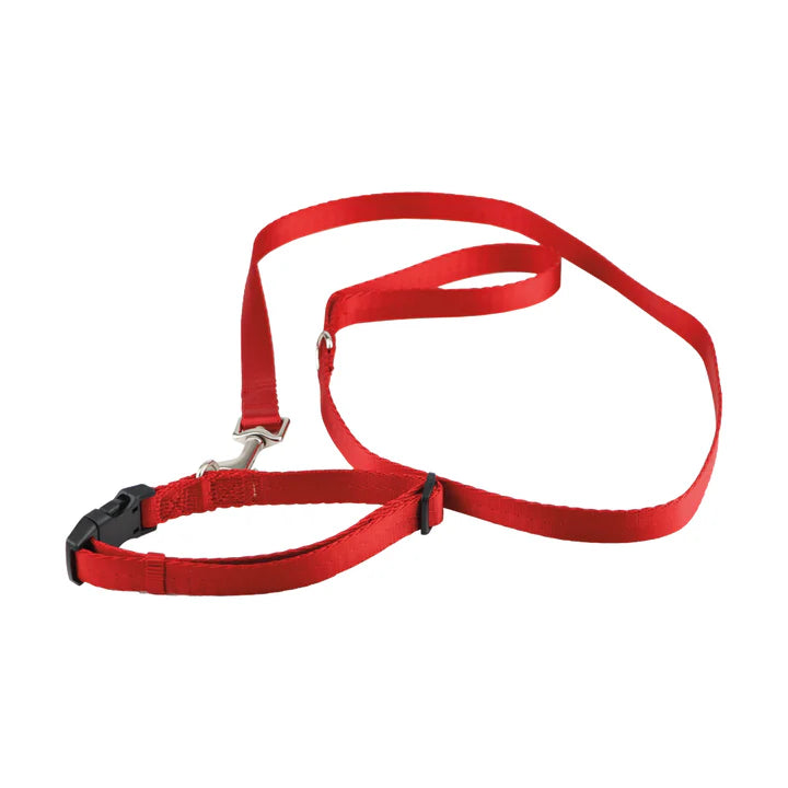  Pet Collar & Leash Set – Adjustable & Durable | Petspalz Petspalz