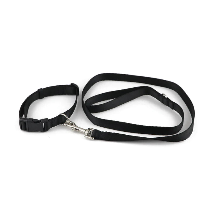  Pet Collar & Leash Set – Adjustable & Durable | Petspalz Petspalz