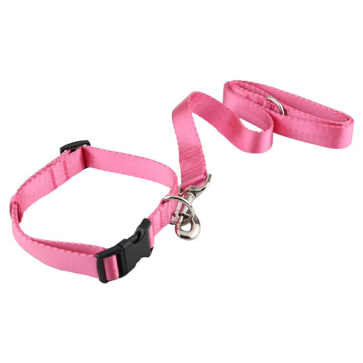  Pet Collar & Leash Set – Adjustable & Durable | Petspalz Petspalz