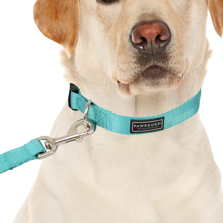  Pet Collar & Leash Set – Adjustable & Durable | Petspalz Petspalz