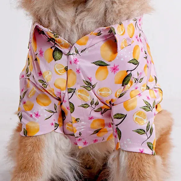  Pet Shirts for Dogs - Petspalz Petspalz
