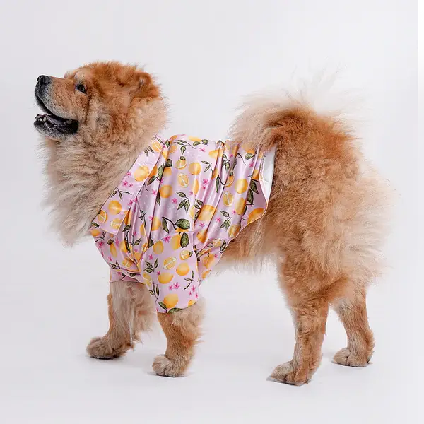  Pet Shirts for Dogs - Petspalz Petspalz