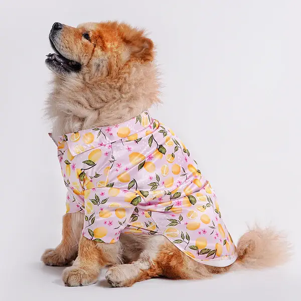  Pet Shirts for Dogs - Petspalz Petspalz