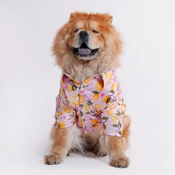  Pet Shirts for Dogs - Petspalz Petspalz
