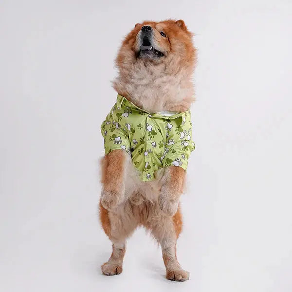  Pet Shirts for Dogs - Petspalz Petspalz