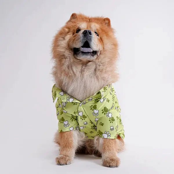  Pet Shirts for Dogs - Petspalz Petspalz