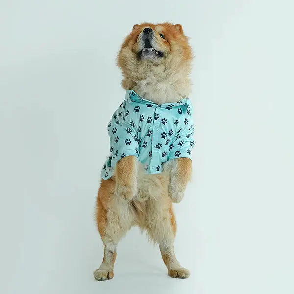  Pet Shirts for Dogs - Petspalz Petspalz
