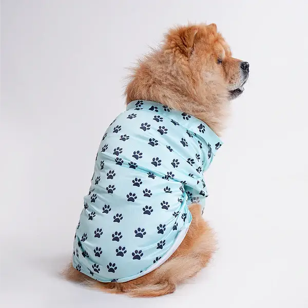  Pet Shirts for Dogs - Petspalz Petspalz
